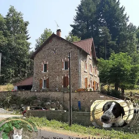 E Lu Chantauziau Homestay *